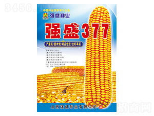 ʢ377-׷N-ʢNI