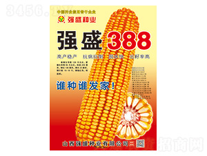 ʢ388-׷N-ʢNI