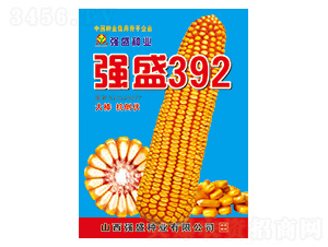 ʢ392-׷N-ʢNI