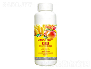 âLSMأ500g--sҫrI