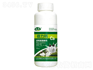 ԰}500g-M-sҫrI
