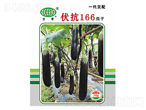 166-ӷN-fNI
