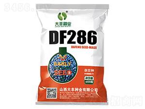 DF286-׷N-SNI