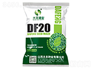 DF20-׷N-SNI