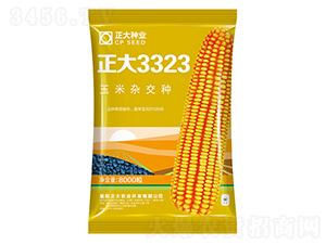 3323-׷N-NI