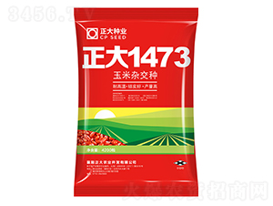 1473-׷N-NI