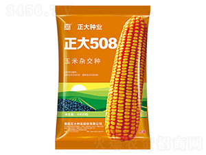 508-׷N-NI