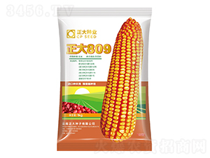 809-׷N-NI
