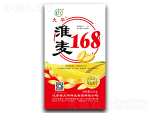 168-СN-ANI