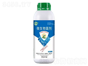 ΢1L-rn-ϧ