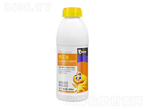 ۹Ȱ}V\F1000ml-o-ع