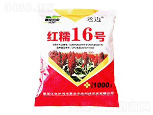 ƷN-tŴ16̖-rI