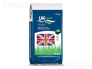 ӢUK-CardiffϷG2-Ϸ 