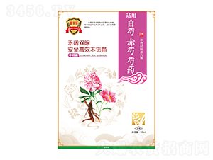 ֳˎˎĳݷ-S-瘷rI
