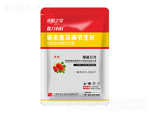 草莓細(xì)菌性病害（空心病）綜合解決方案-細(xì)菌立克-禾盼之星-禾盼農(nóng)業(yè)