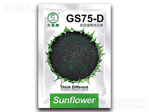 GS75-D-ͿN-NI(y)