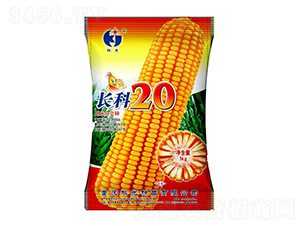 L20-ƹN