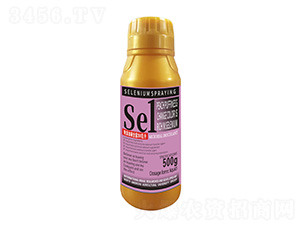 500Dɫ1̖-r