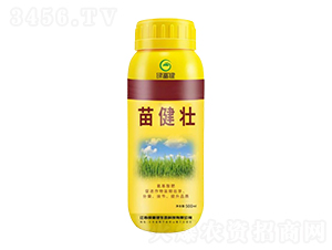 罡-G